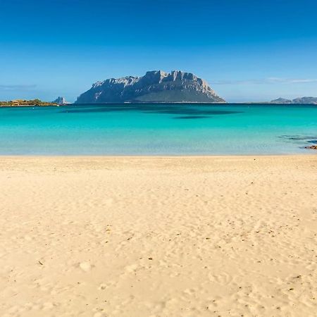 La Cala Apartment Olbia Ngoại thất bức ảnh